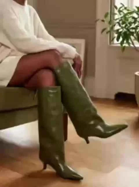 Women's Pointed Toe Kitten Heel Knee High Boots